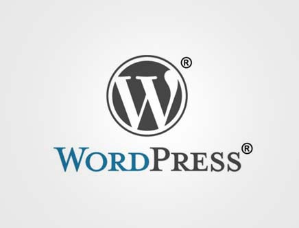 WordPress 调用热门tag标签关键字